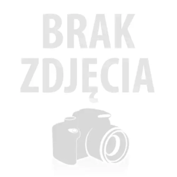 Zespół łożyskowy UCP 210 BBC-R